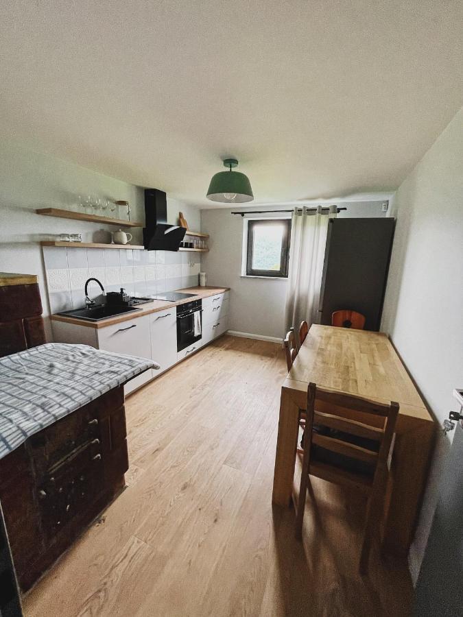 Apartment Pod Katami Kamienica (Limanowa)